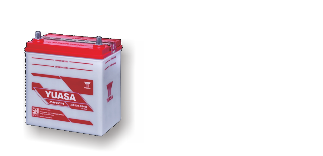 Yuasa NS40Z